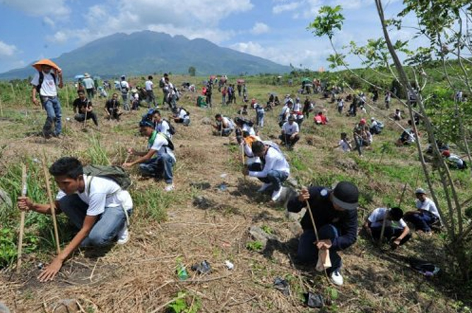 planting trees