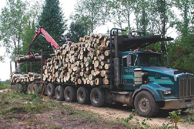 truck w logs