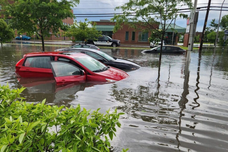 cars in water