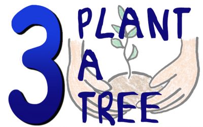 3 Plant A Tree